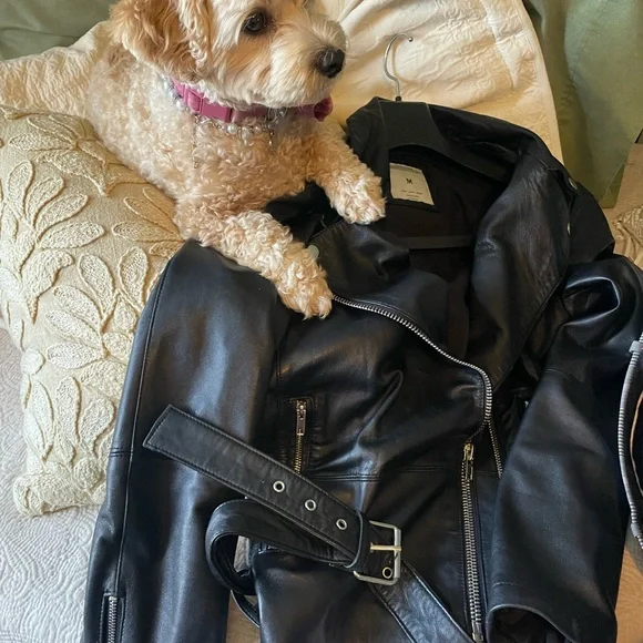 Zara Black Authentic Lambskin Leather Biker Jacket - Picture 6 of 10